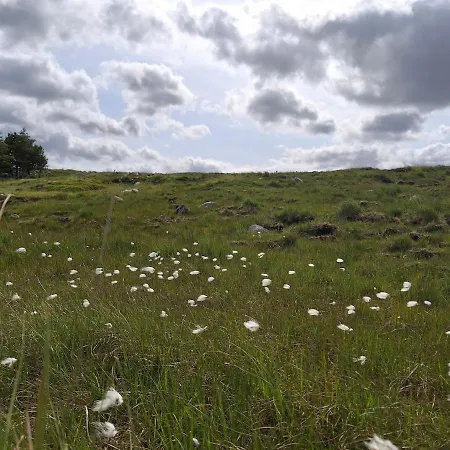 Wooly Huts Grey * Westport