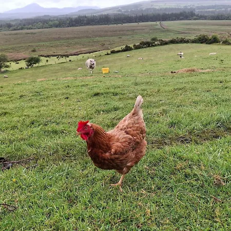 Wooly Huts Grey Apartment