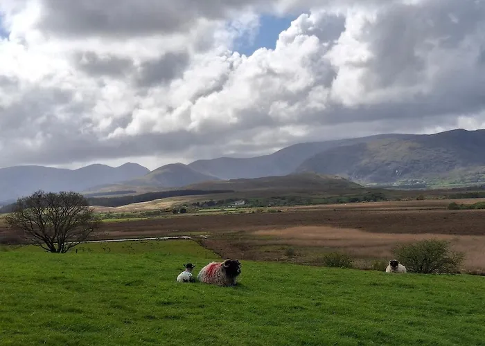 Wooly Huts Grey 아파트 웨스트포트