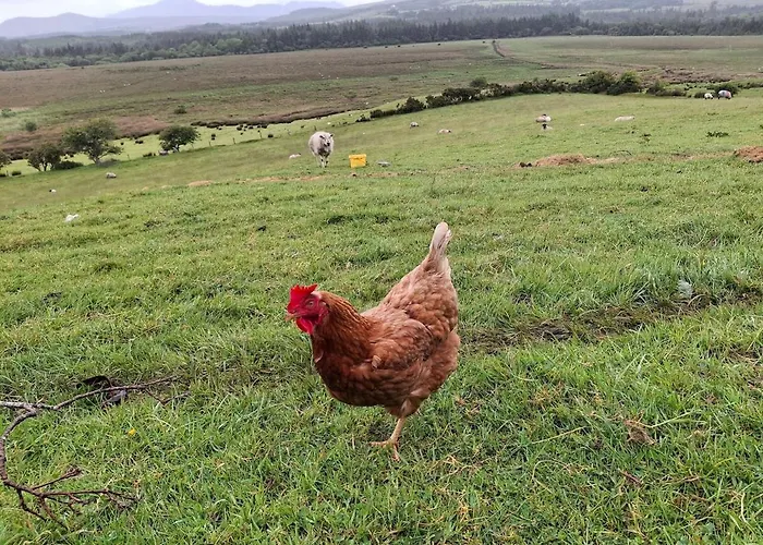 Wooly Huts Grey 아파트