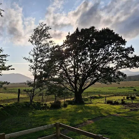 Wooly Huts Grey Γουέστπορτ