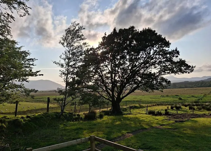 Wooly Huts Grey Westport