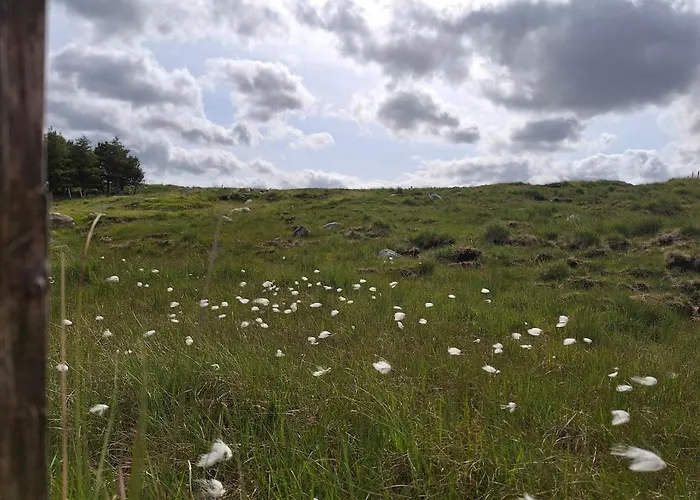 Wooly Huts Grey * Westport