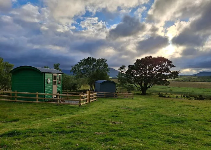 Wooly Huts Grey * ウェストポート
