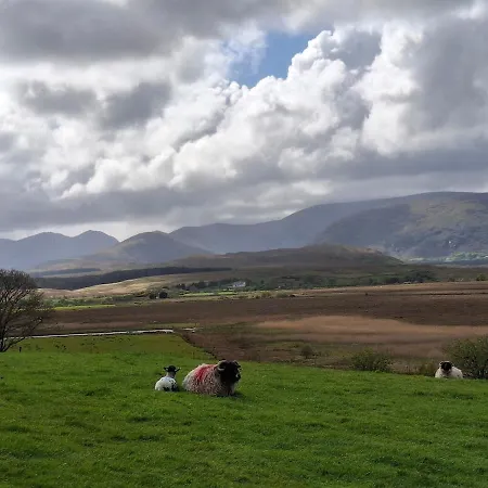 Wooly Huts Grey Appartement Westport