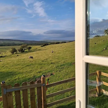 Wooly Huts Grey Appartement