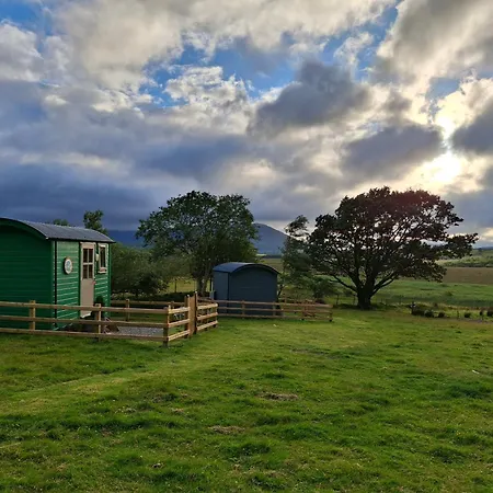 Wooly Huts Grey * Westport